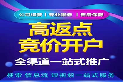 成功案例分享：SEM竞价代运营策略解析